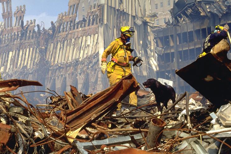 Hero Dogs of 9/11