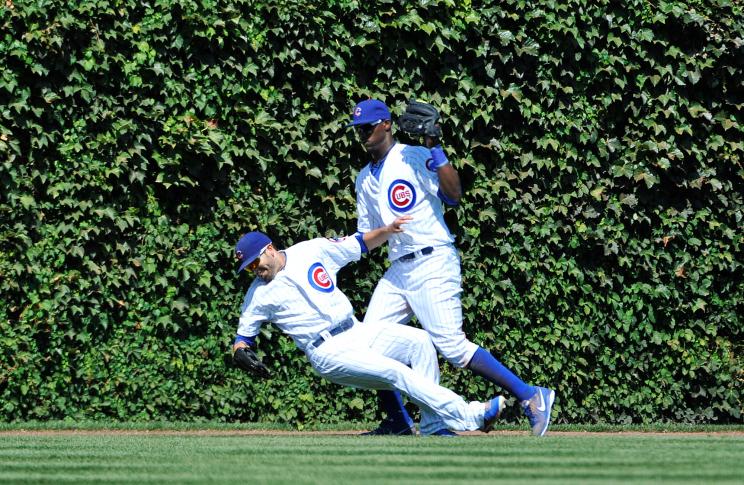 Wrigley Field outfield ivy Chicago Cubs