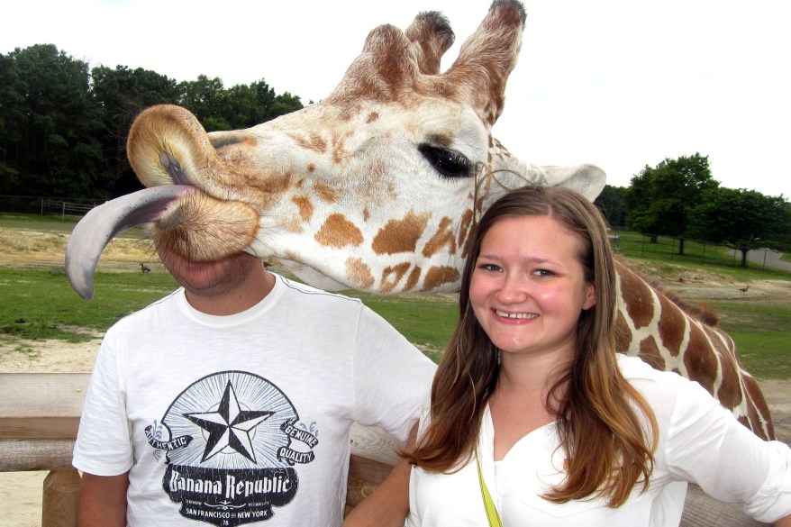 Photobomb Giraffe