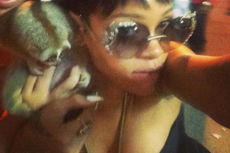 Rihanna slow loris