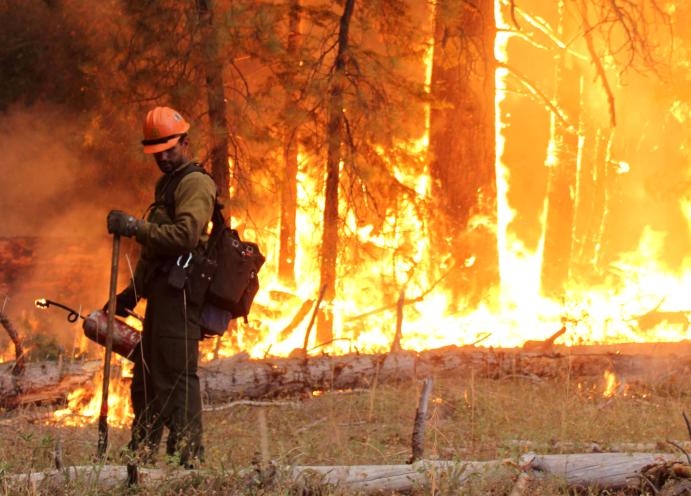 Wildfire in Yosemite