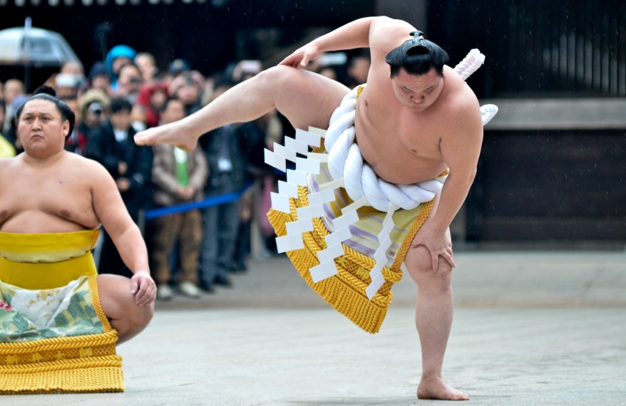 Sumo Grand Champions Celebrate The New Year