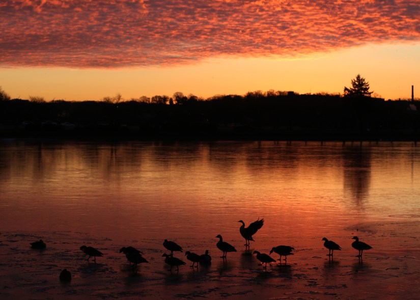 Large Cold Weather System Begins To Ease Temperatures