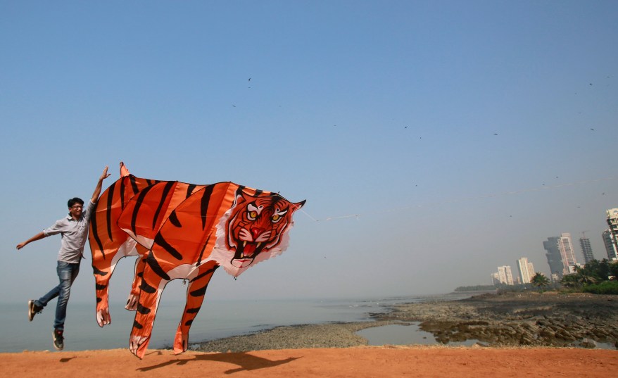 India Kite Festival