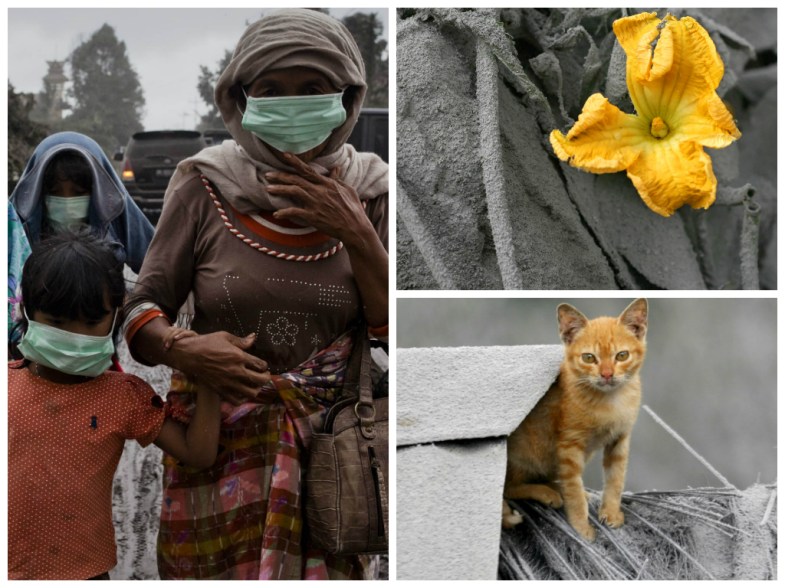 Mount Sinabung's ashy legacy in Indonesia