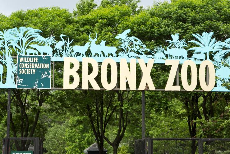 The Bronx Zoo is just one of many hot spots to visit this summer.