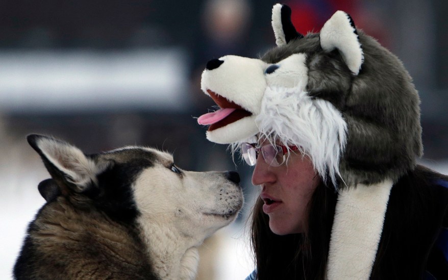 A musher greets his dog during a break in a stage of the Sedivackuv Long dog sled race in Destne v Orlickych horach January 22, 2015. Each year, racers from all over Europe arrive at the village of Destne in the Orlicke mountains in Czech Republic to take part in the race. Picture taken January 22, 2015. REUTERS/David W Cerny (CZECH REPUBLIC - Tags: ANIMALS SPORT TPX IMAGES OF THE DAY)