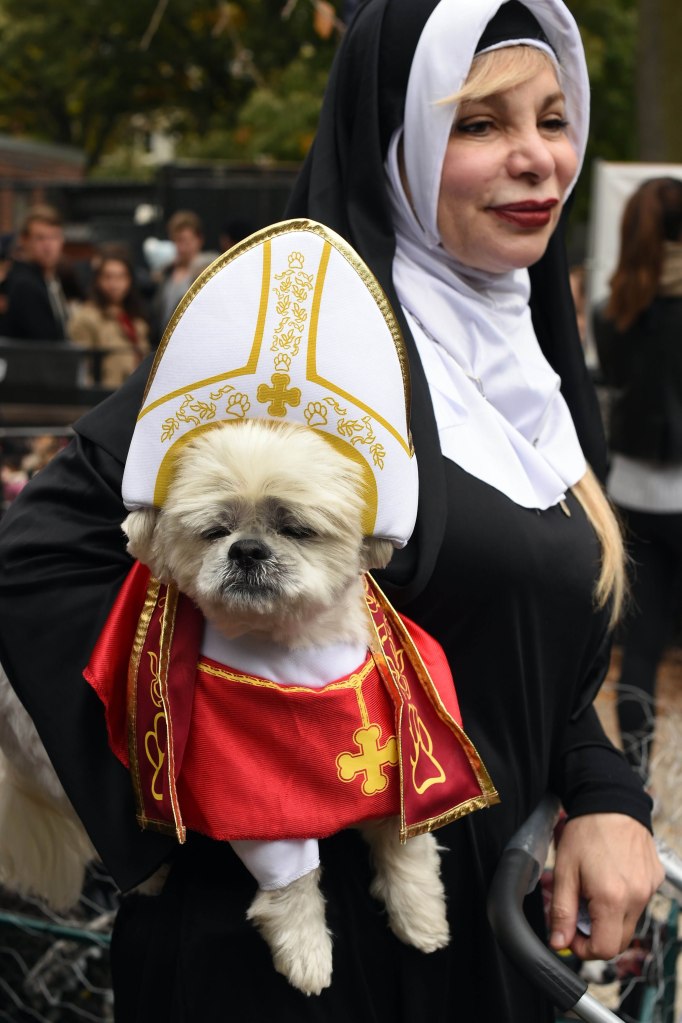 A dog dressed as the Pope attends the 25th Annual Tompkins Square Halloween Dog Parade in New York October 24, 2015.          AFP PHOTO / TIMOTHY A. CLARYTIMOTHY A. CLARY/AFP/Getty Images