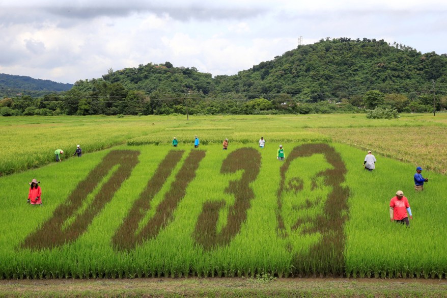 An artwork featuring the image of Philippine President Rodrigo Duterte with the letters D U and the number 3, a word play on the President's surname "DU30", is seen on a rice paddy in Los Banos city, Laguna province, Philippines.