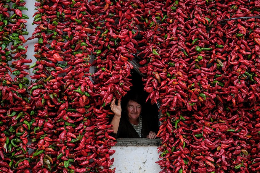 A woman poses for a picture as bunches of paprika hang on the walls of her house to dry in the village of Donja Lakosnica, Serbia.