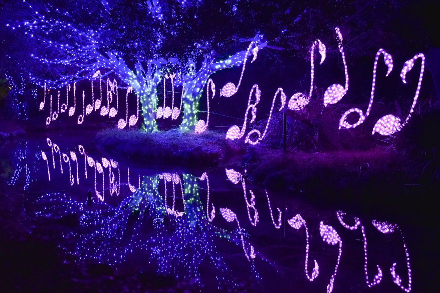 The LA Zoo Lights illuminate the Los Angeles Zoo.