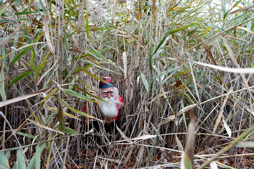 Santa Jerry Julian of Colorado Springs, Colorado hides in the grass following a ride on the Polar Express during a field trip from the Charles W. Howard Santa Claus School in Midland, Michigan.