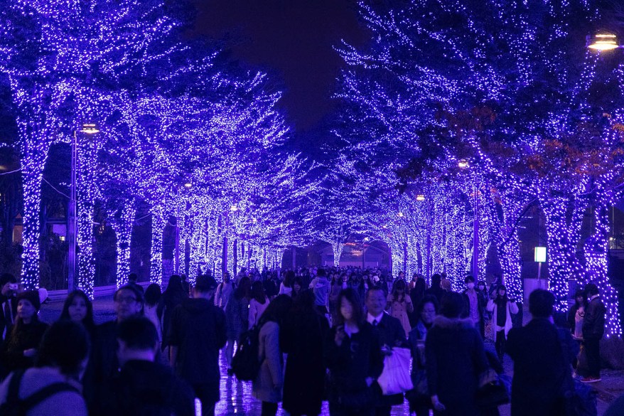 Visitors enjoy the Blue Grotto Illumination event in Shibuya, Tokyo, Japan.