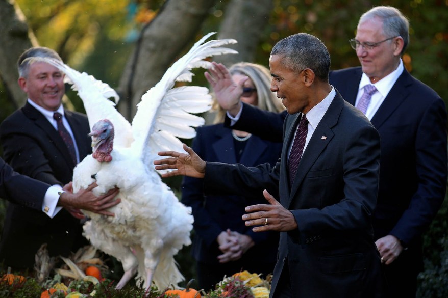 President Barack Obama reacts after pardoning the National Thanksgiving turkey.