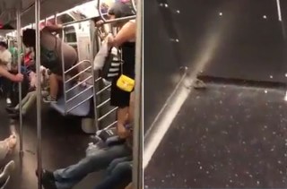 Tiny mouse causes panic on NYC subway