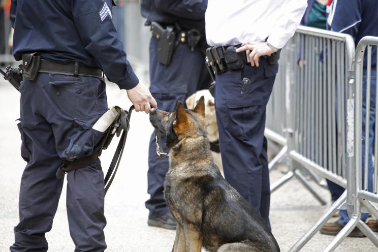 An NYPD officer with his K-9.