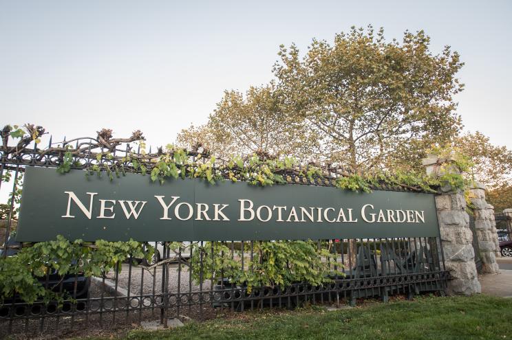 The New York Botanical Garden