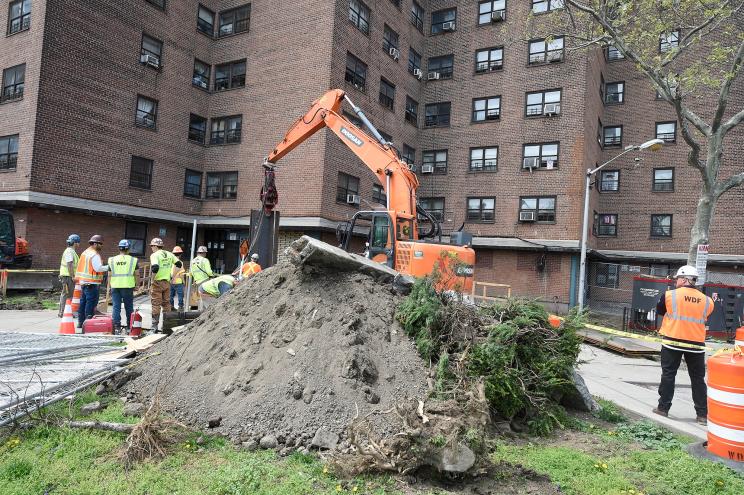 Chainsaw crews have taken down more than 200 mature hardwoods at the Baruch Houses on the Lower East Side.