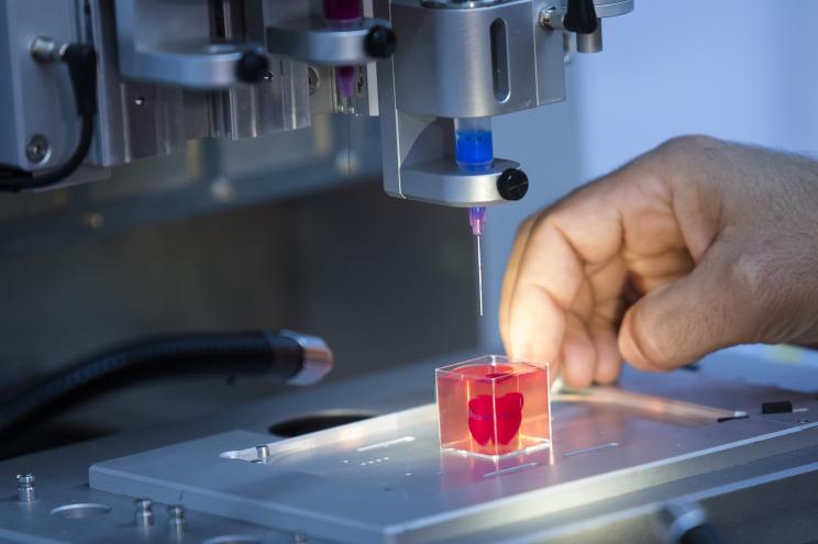 Tal Dvir holds a 3-D-printed heart made from human tissue in his laboratory in Tel Aviv University.