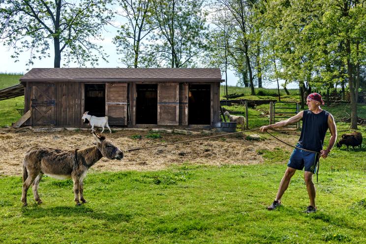 Christopher McDougall with Sherman, a rescue donkey who overcame brutal neglect.