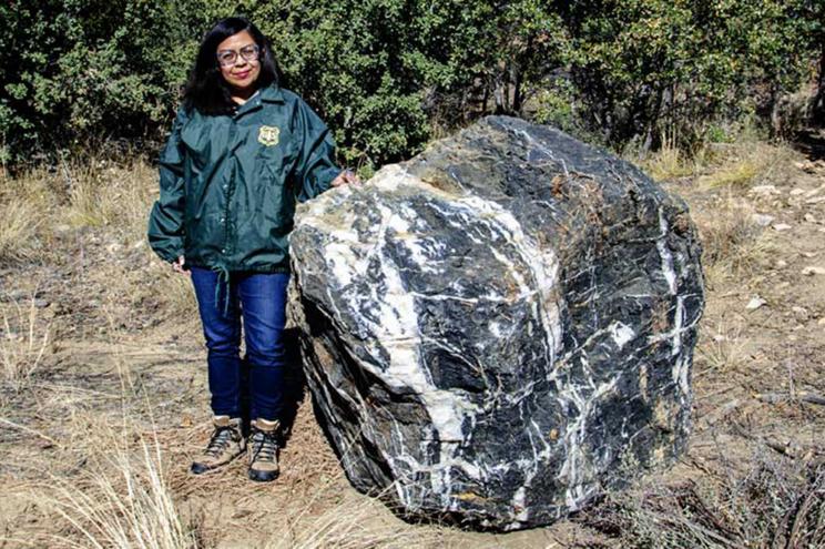 A forest employee standing next to Wizard Rock