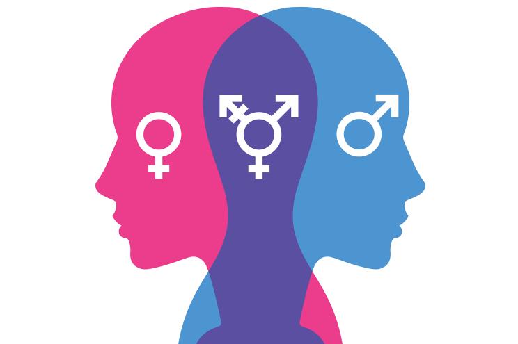 The new book “Irreversible Damage: The Transgender Craze Seducing Our Daughters” explores the connection between rising teen transgender identification and peer contagion.