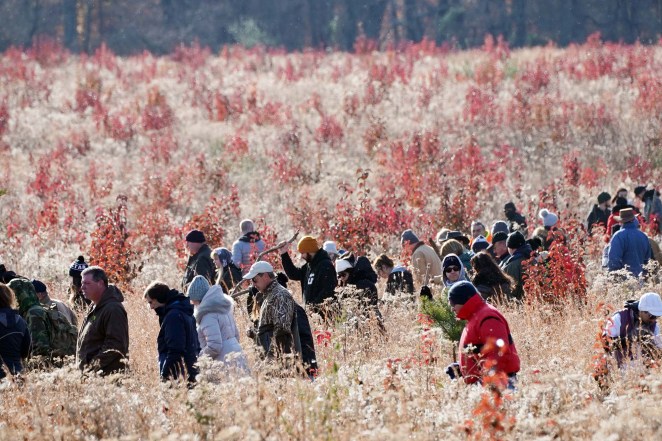 About 200 volunteers searching a field in New Jersey Stephanie Parze last year.
