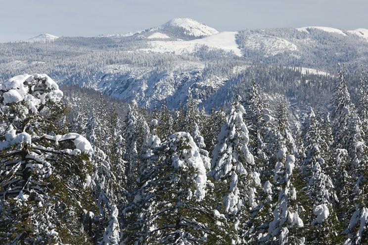 He was later able to find a small area of the Tahoe National Forest where he was able to use his phone to call 911.