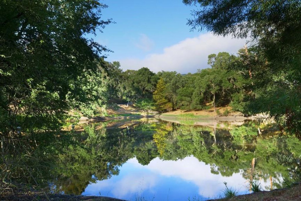 A private lake. 