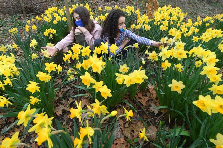 Local girls sit around daffodils in Harlem’s Morningside Park on March 31, 2021.