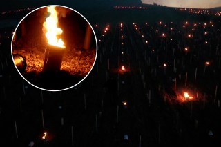 Winemakers use candles to fight sharp spring frost