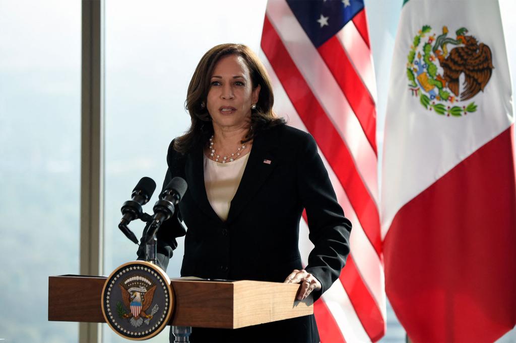 Vice President Kamala Harris traveled to Mexico to discuss the “root causes” of the US border migrant crisis with Mexican President Andres Manuel Lopez Obrador on June 8, 2021.