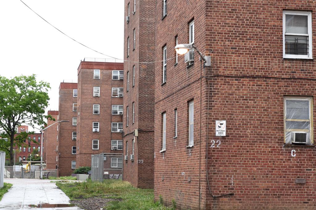 Residents of the Red Hook Houses have experienced unreliable Wifi in the buildings.