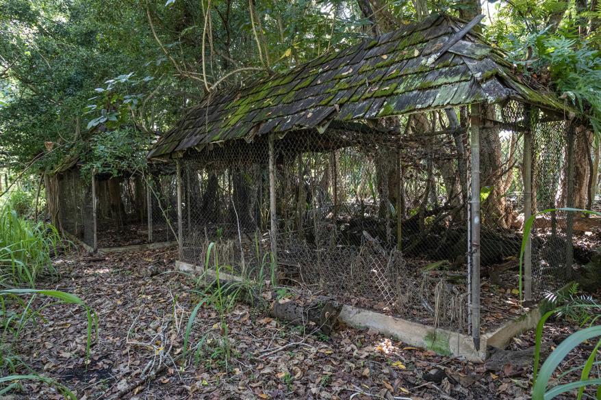 The abandoned Coco Palms Resort.