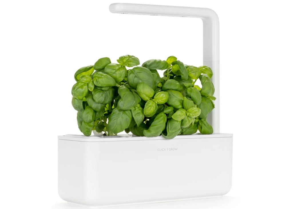 Click and Grow The Smart Garden 3