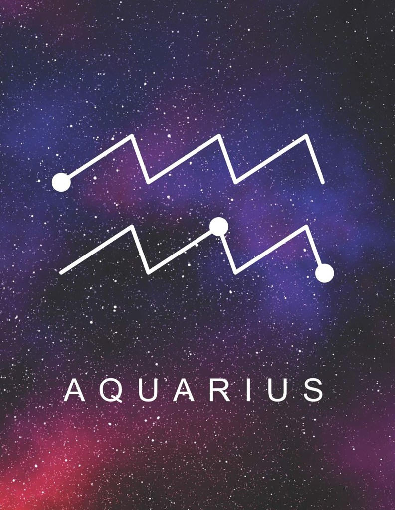 Aquarius is a Fixed Air sign. That is what gives them their persevering and highly intellectual nature.