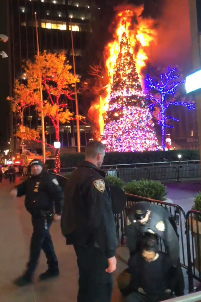 Police immediately arrest alleged arsonist Craig Tamanaha after he set the Christmas tree on fire by News Corp headquarters.