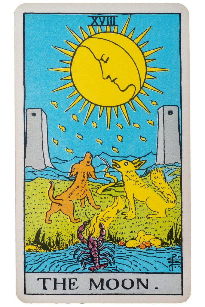 Associated with shadow work, idealism and delusion, the card depicts a dog and a wolf howling at a full moon.