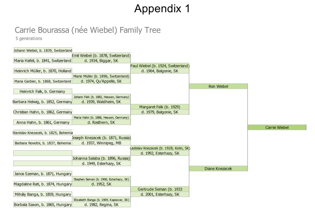 Carrie Bourassa’s family tree, compiled by academics, shows no indigenous blood in her ancestry.