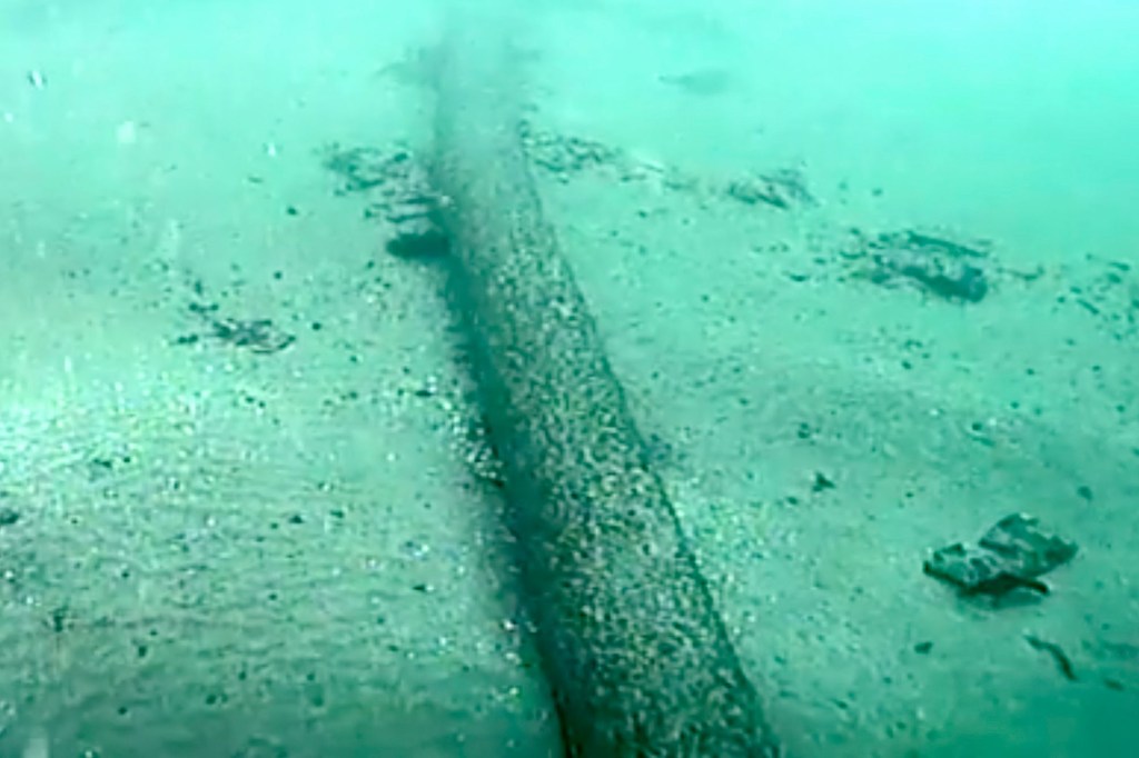 The Southern California oil spill decimated aquatic life along the shores of Huntington Beach down to Laguna Beach.