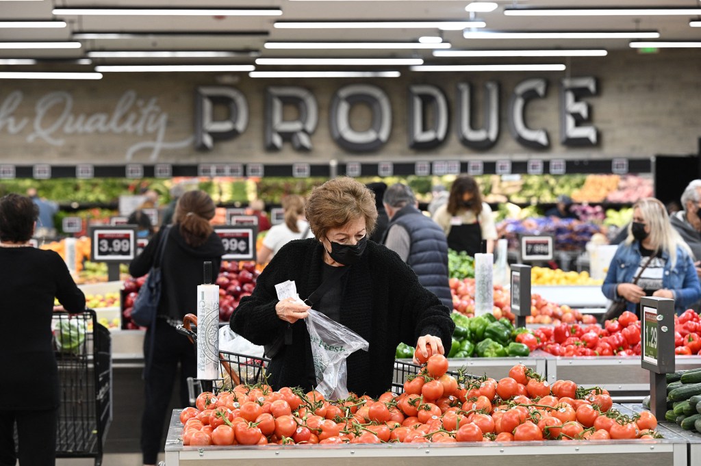 A woman shop for groceries.