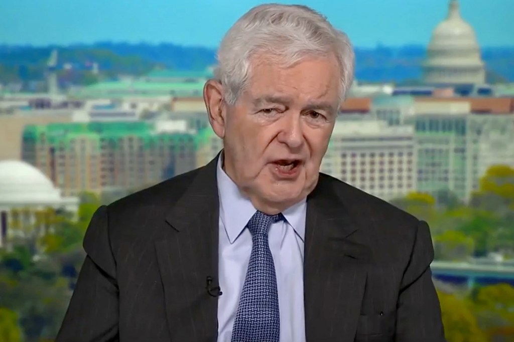 Former House Speaker Newt Gingrich suggested that members of the House Select Committee on the Capitol riot could face jail time.