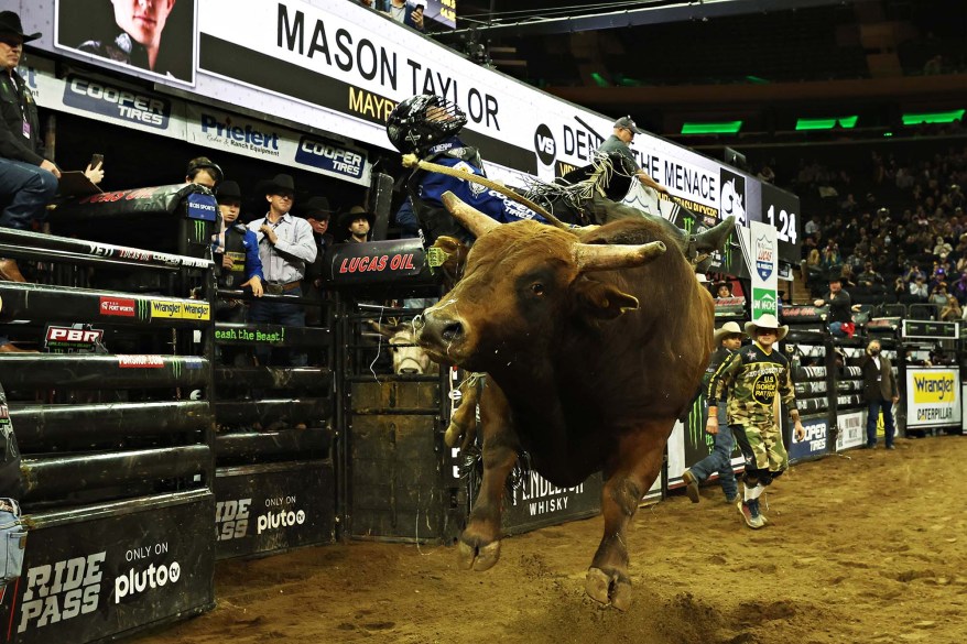 PBR Unleash The Beast