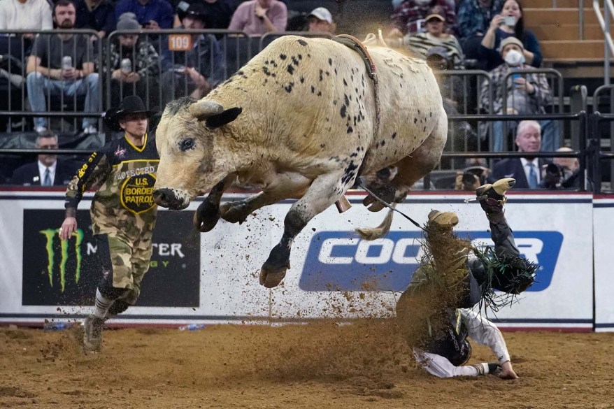 TOPSHOT-BULL RIDING-USA