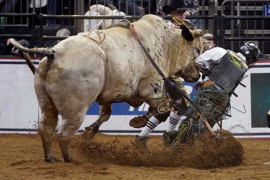 BULL RIDING-USA