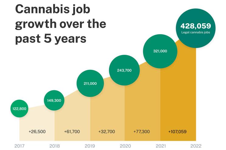 Cannabis job growth chart