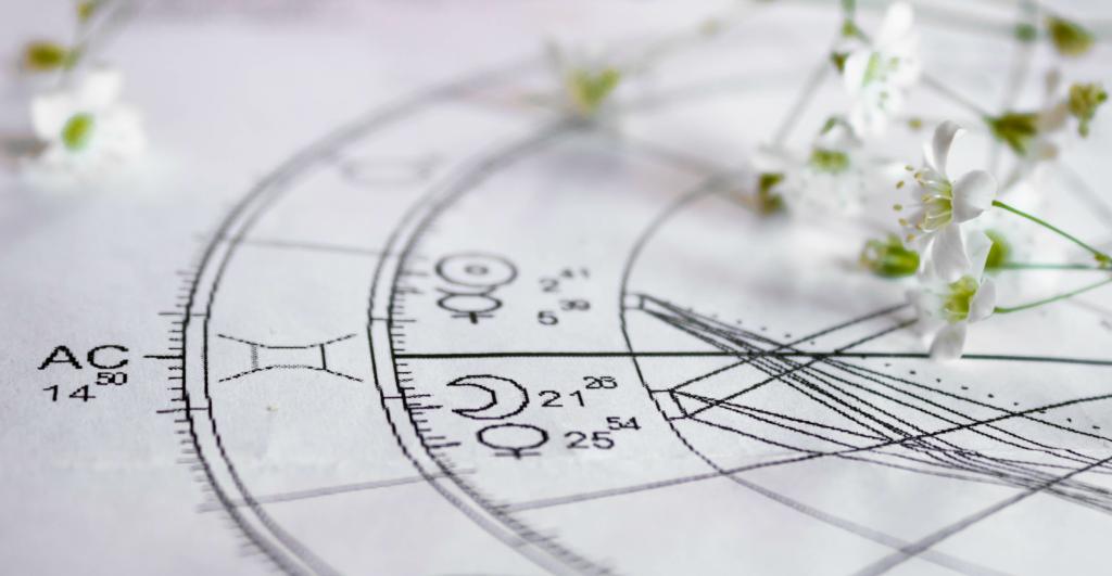 Close-up view of a printed astrology chart detailing Venus, Mercury, and Moon with small white flowers in the background