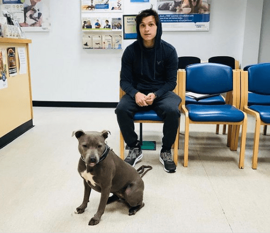 Tom Holland and his dog, Tessa, at the vet