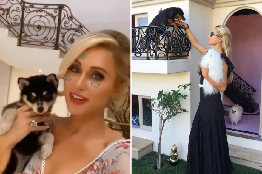 Paris Hilton with her puppies