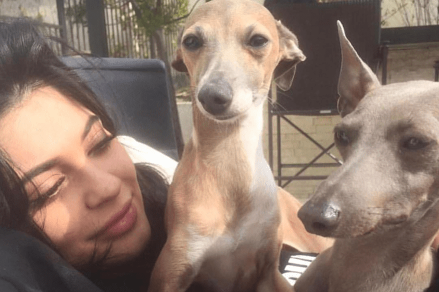 Kylie Jenner with dogs Norman and Bambi